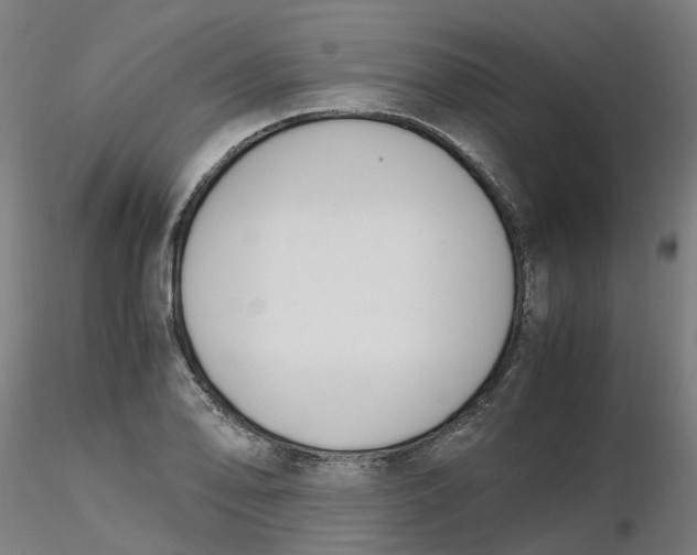 X0000116331078200912221415