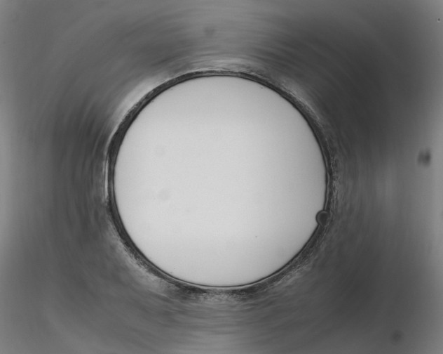 X0000116331079200912221415