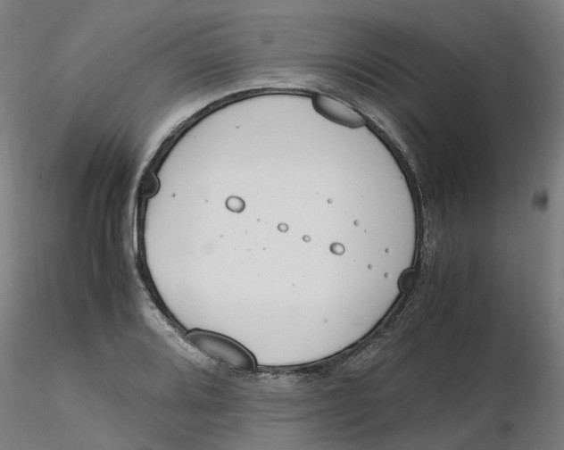 X0000116331080200912221415