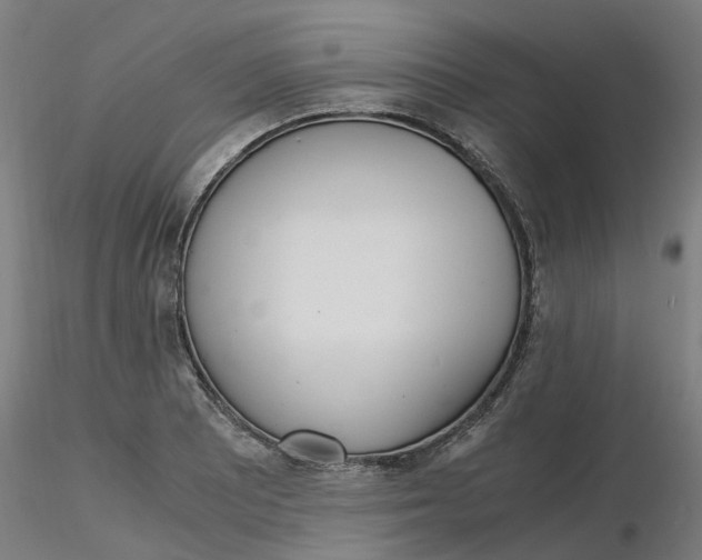 X0000116331081200912221415