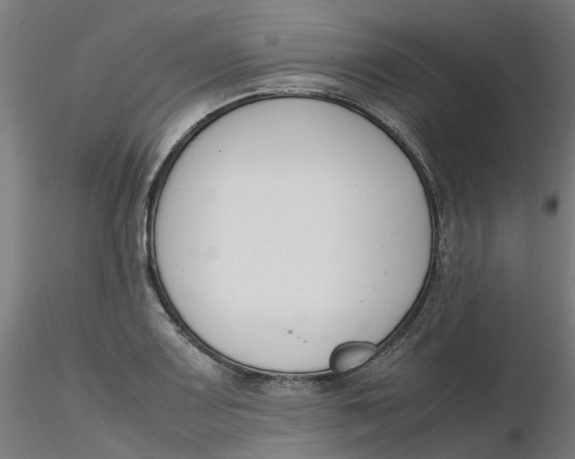 X0000116331083200912221415