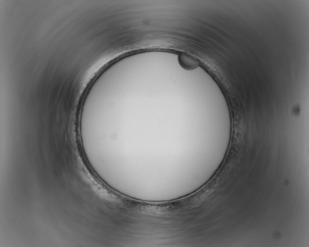 X0000116331086200912221415