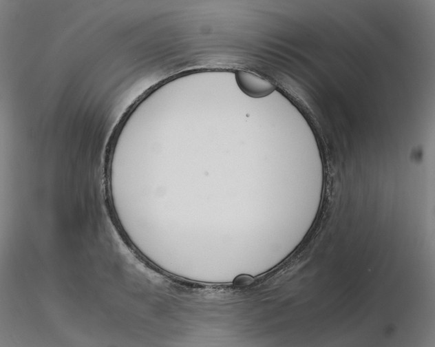 X0000116331087200912221415