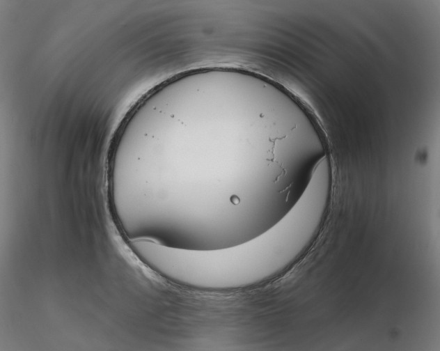 X0000116331088200912221415