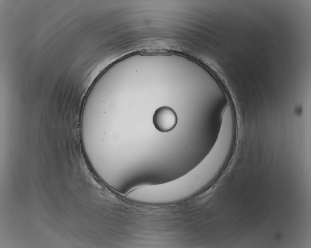 X0000116331089200912221415