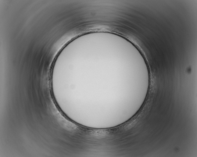 X0000116331090200912221415