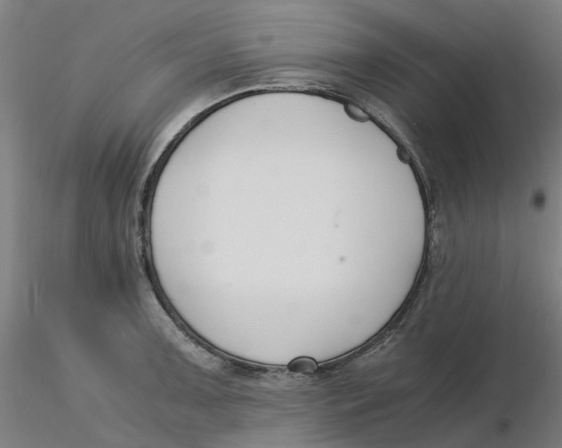 X0000116331091200912221415