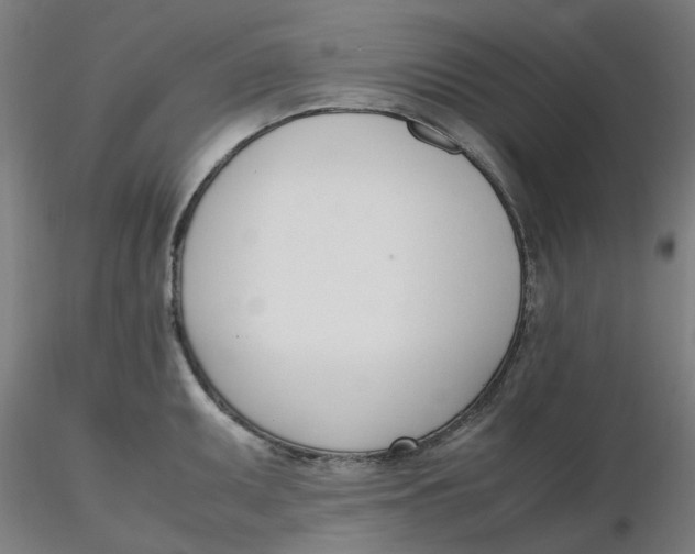 X0000116331095200912221415