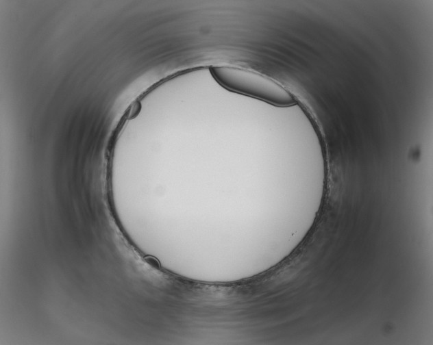 X0000116331096200912221415