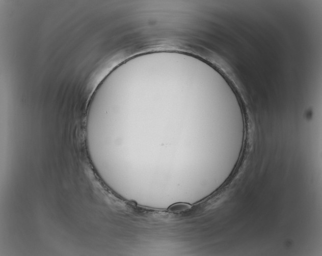 X0000116331097200912221415