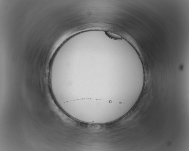 X0000116331099200912221415