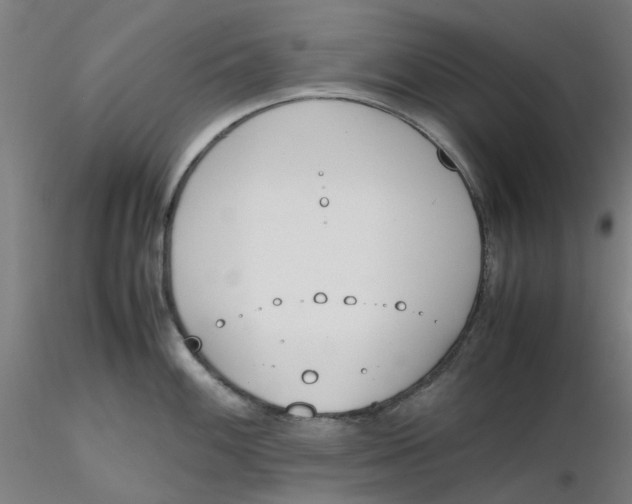 X0000116331100200912221415