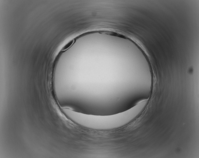 X0000116331101200912221415