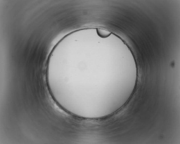 X0000116331102200912221415