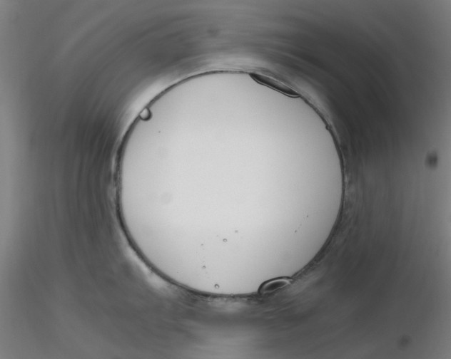 X0000116331103200912221415