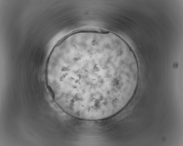 X0000116331104200912221414