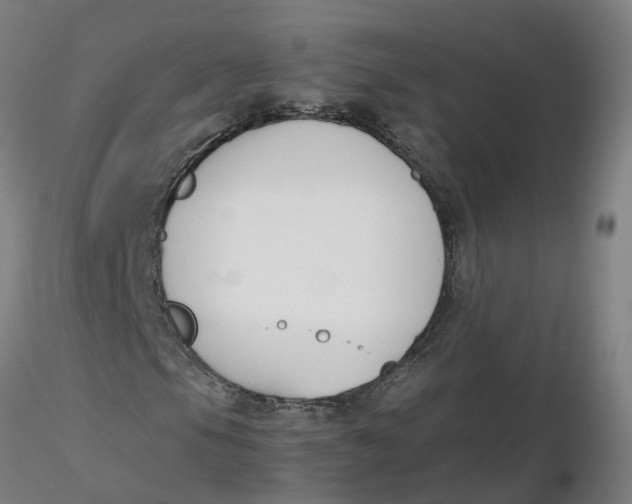 X0000116331105200912221414