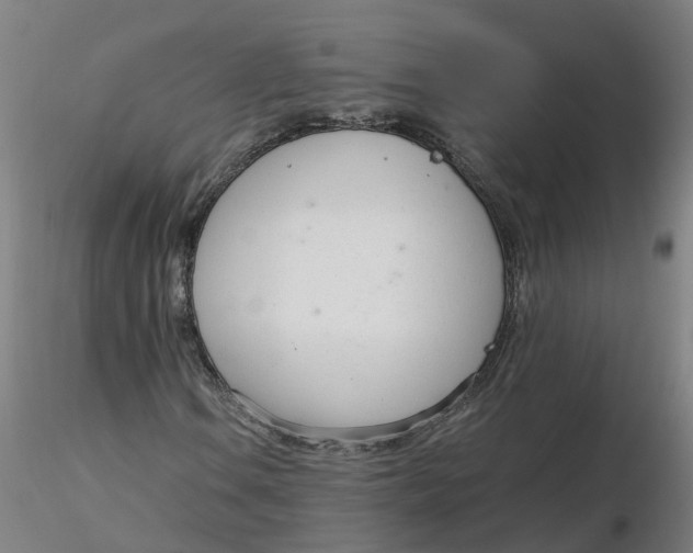 X0000116331106200912221414