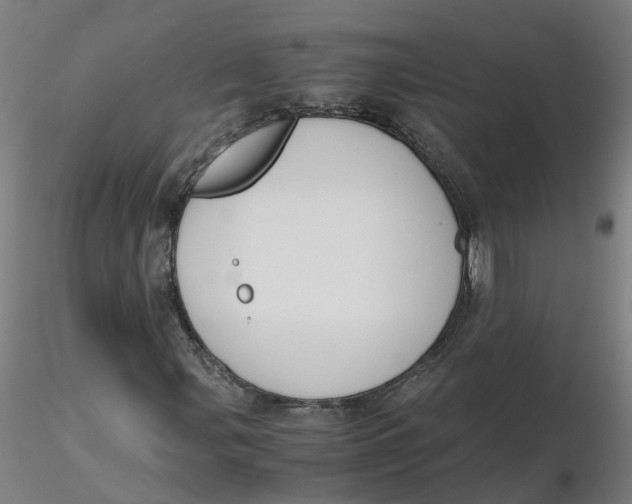 X0000116331107200912221414