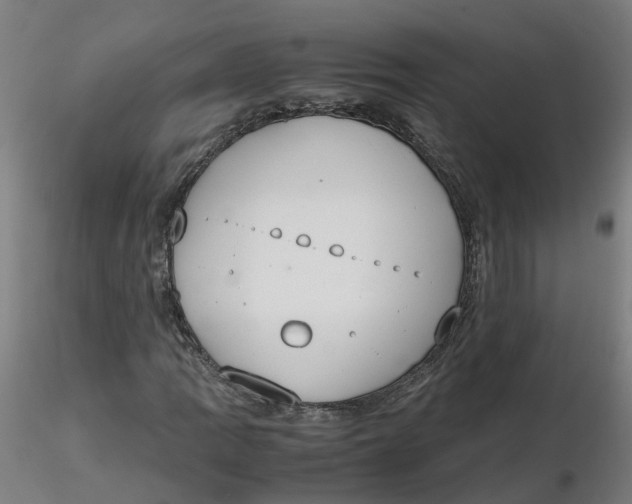 X0000116331109200912221414