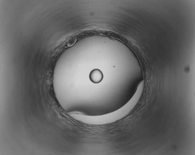 X0000116331110200912221414