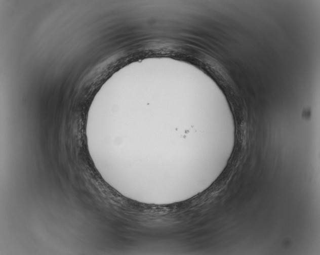 X0000116331111200912221414