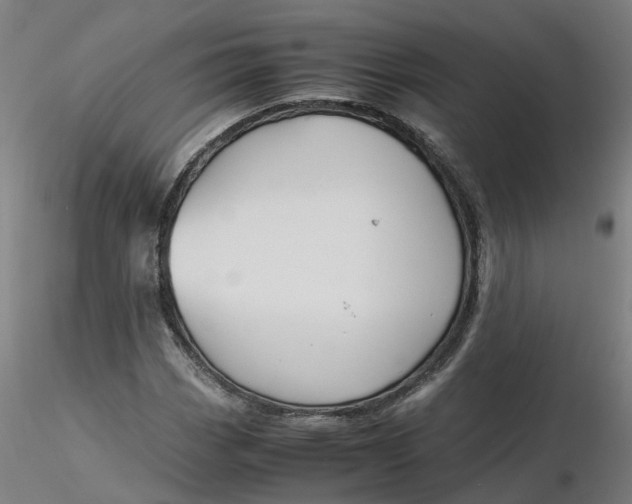 X0000116331113200912221414