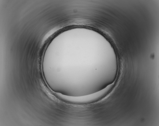 X0000116331114200912221414