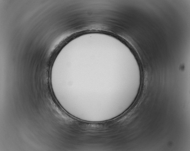 X0000116331115200912221414