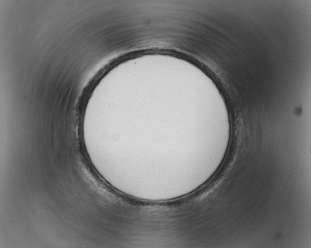 X0000116331118200912221414