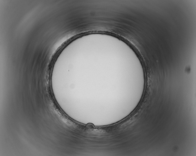 X0000116331119200912221414