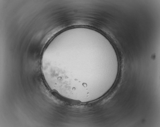 X0000116331121200912221414