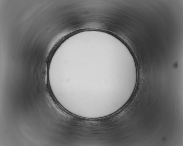 X0000116331123200912221414