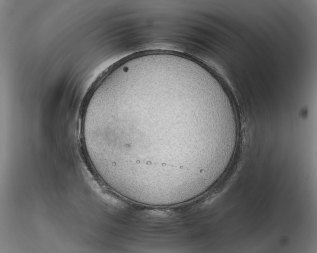 X0000116331125200912221414