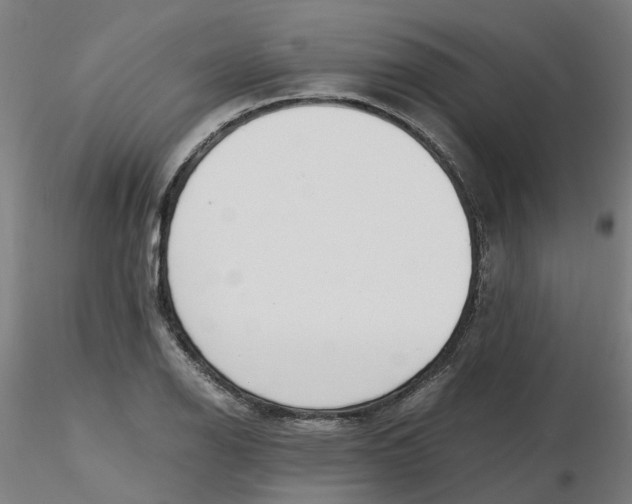 X0000116331126200912221414