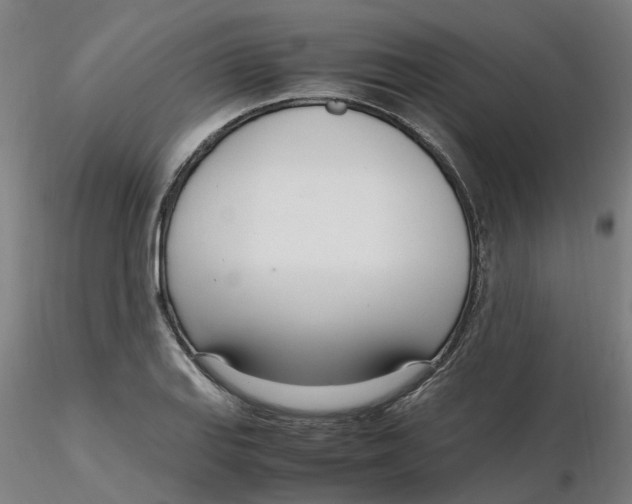 X0000116331127200912221414