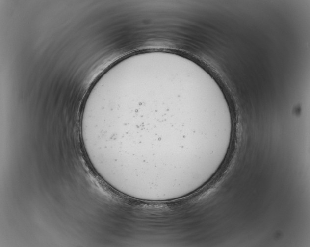 X0000116331129200912221414