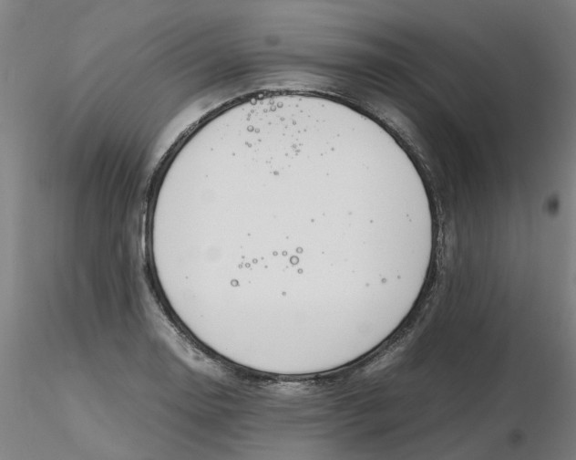 X0000116331130200912221414