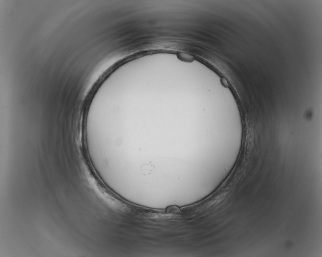 X0000116331131200912221414