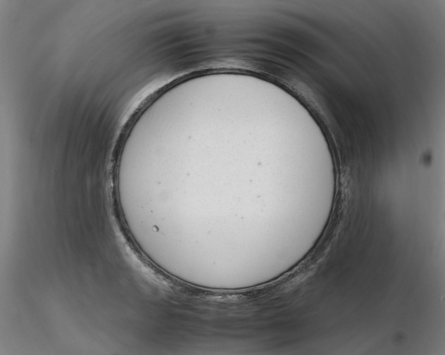 X0000116331133200912221414