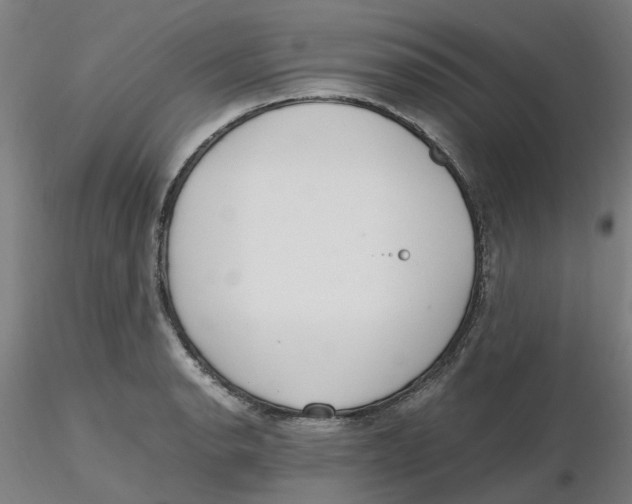 X0000116331134200912221414