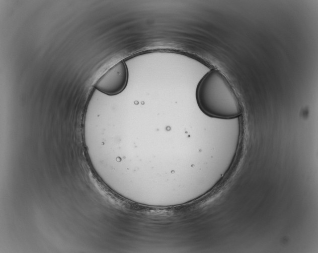 X0000116331137200912221414