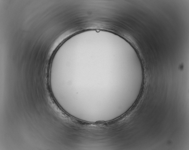 X0000116331138200912221414