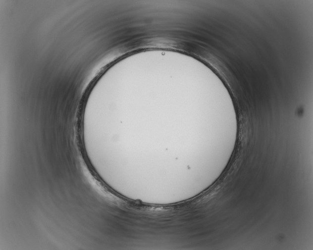 X0000116331139200912221414