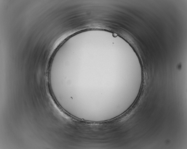 X0000116331141200912221414