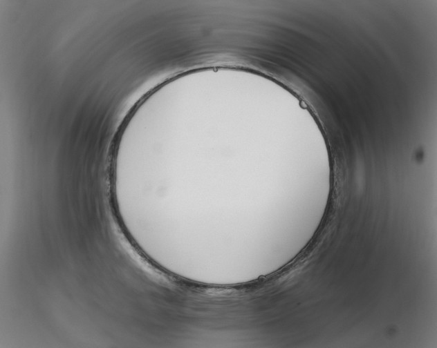 X0000116331142200912221414