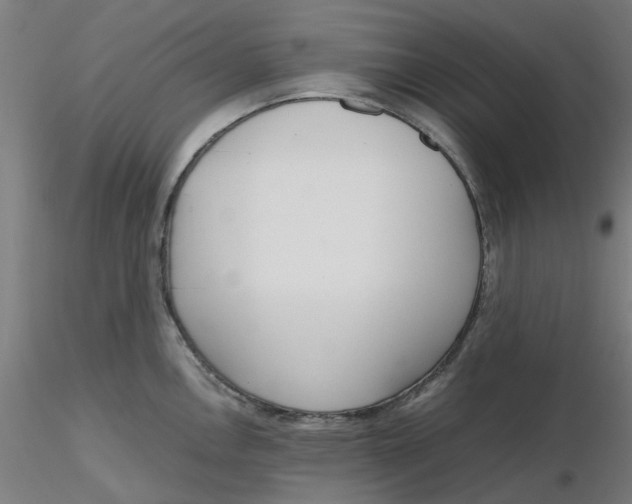 X0000116331146200912221414