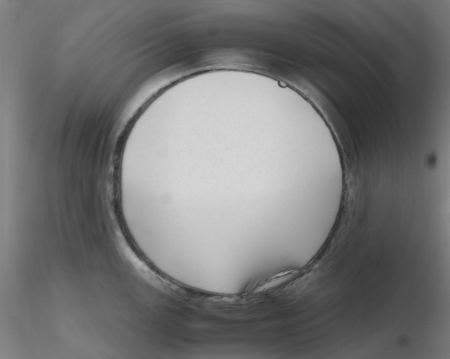 X0000116331147200912221414