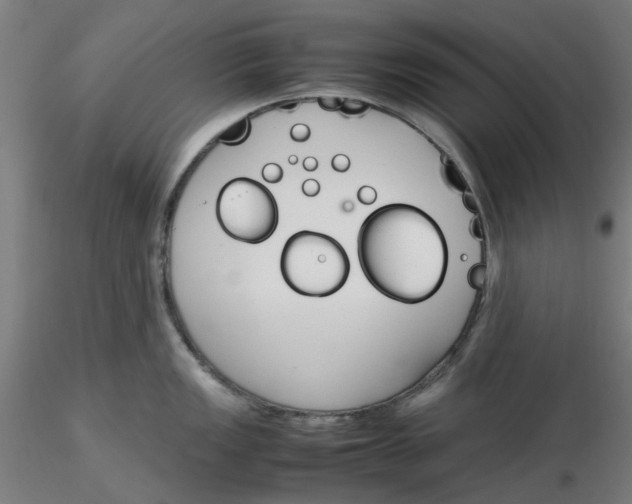 X0000116331149200912221414