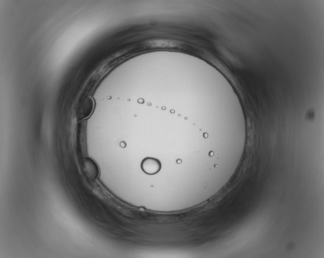 X0000116331151200912221414